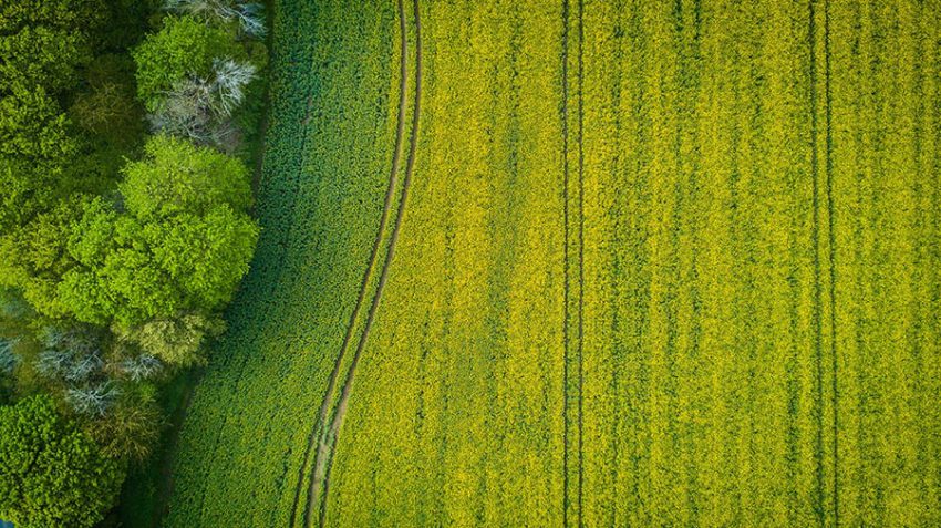 agroturystyka wisła